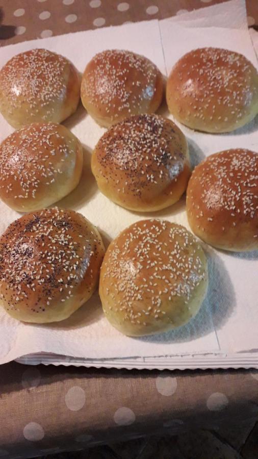 לינה וארוחת בוקר Castiglione In Teverina La Casa Di Gioia מראה חיצוני תמונה